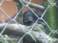 IMGP0856.JPG